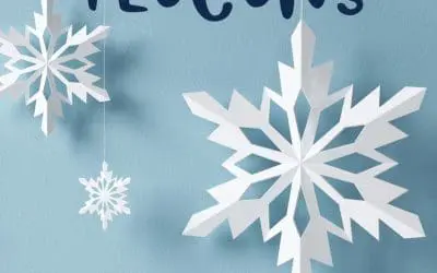 Flocons d&rsquo;hiver