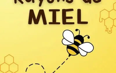 Rayon de miel
