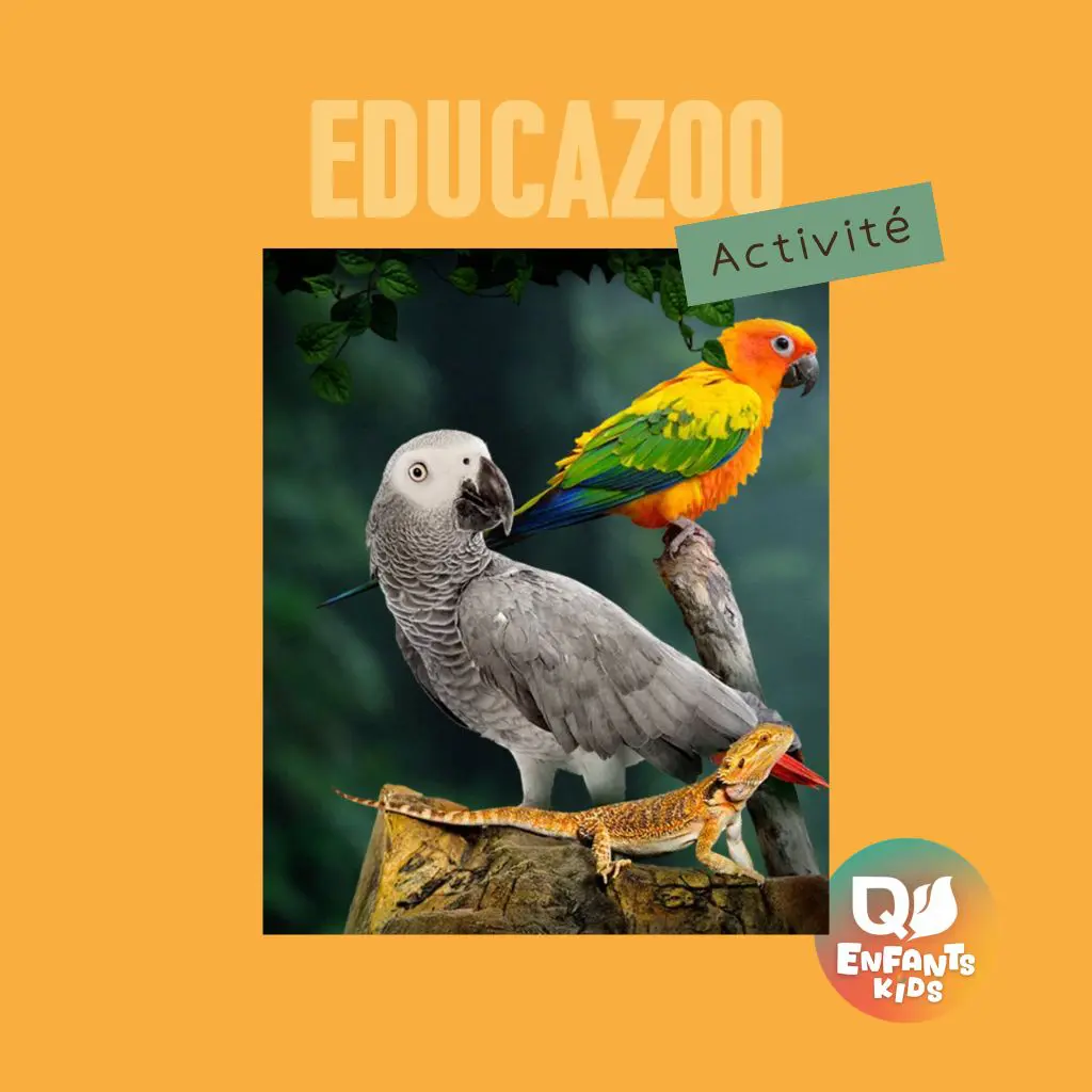 Educazoo